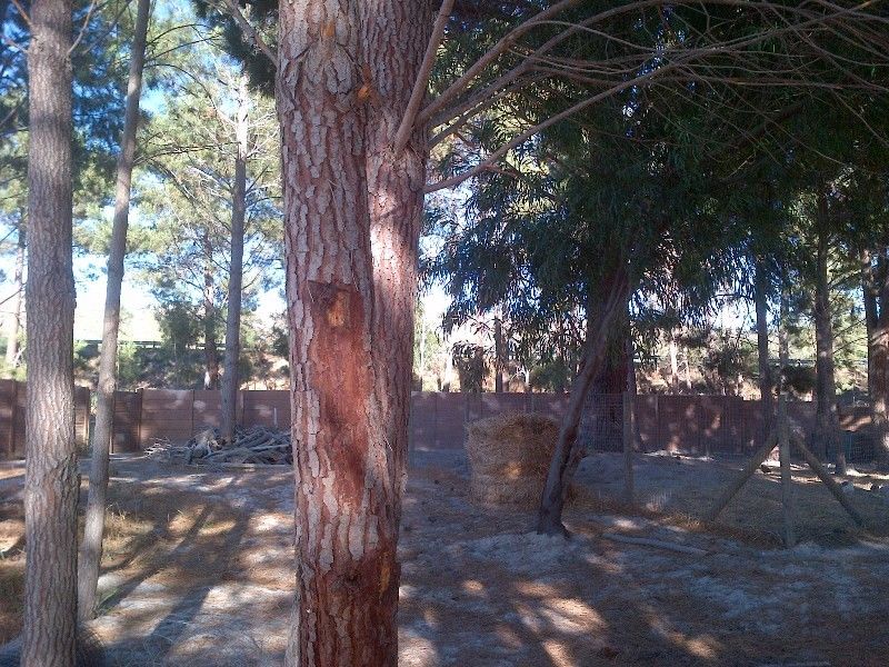 Commercial Property for Sale in Bot River Western Cape